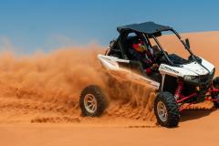 1-SEATER-BUGGY-TOURS-1
