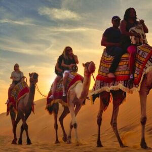 Camel Safari Dubai