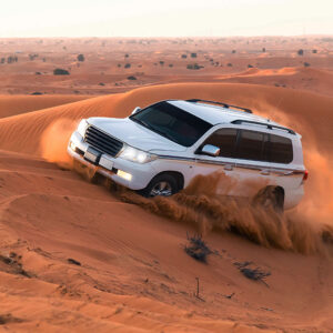 Red Dunes Desert Safari Deals 2024
