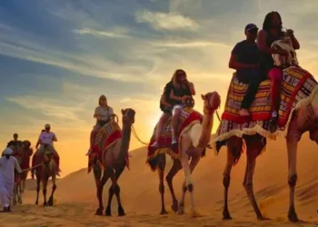VIP Luxury Desert Safari